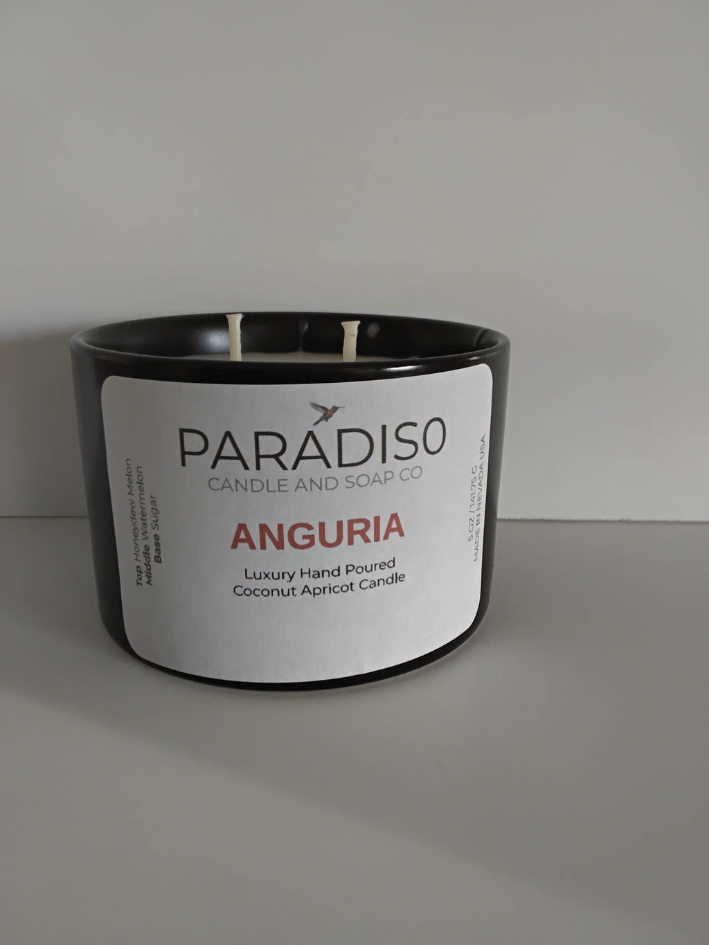 Anguria 12 oz Luxury 2-Wick Coconut Apricot Candle