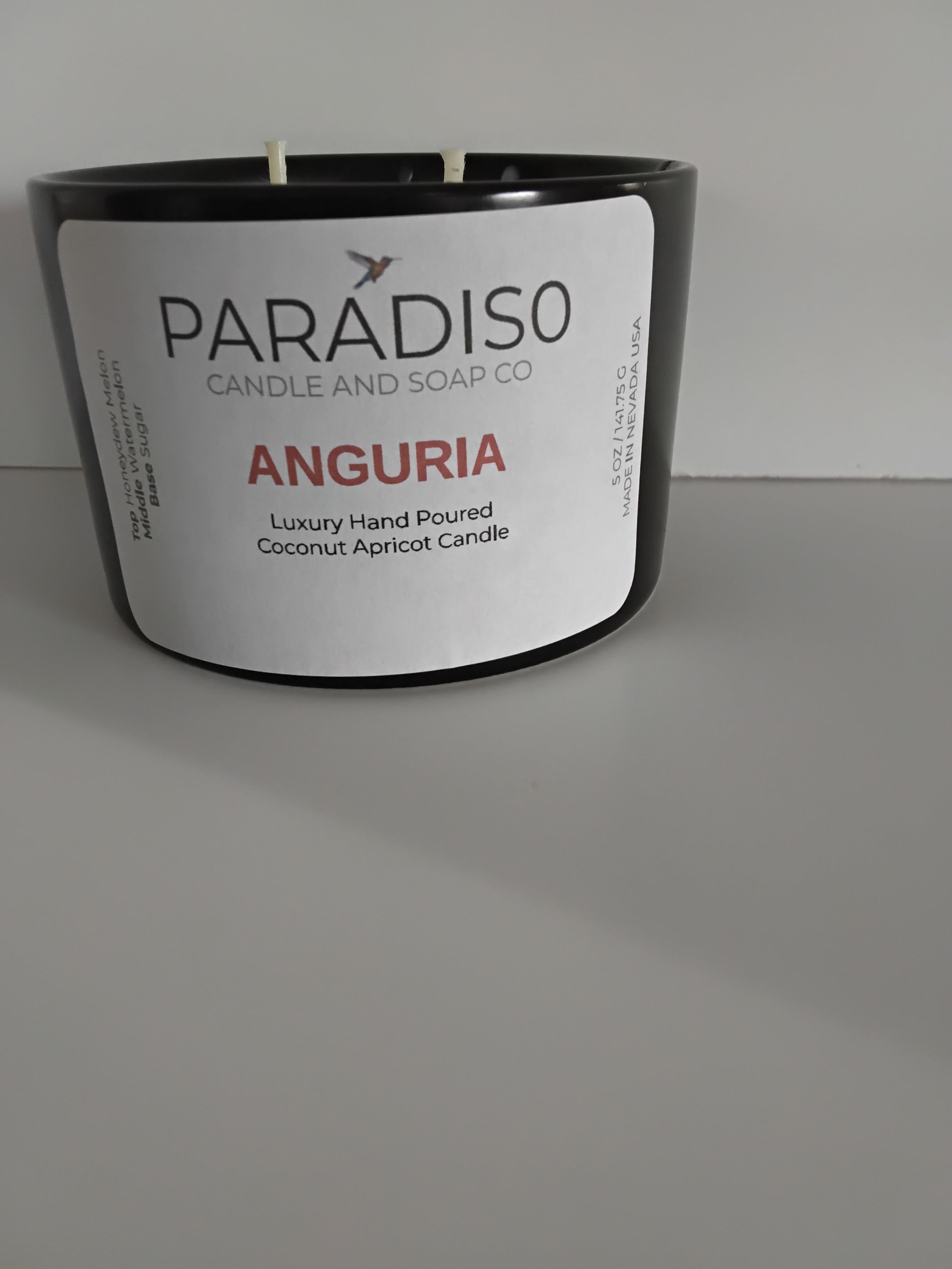 Anguria 12 oz Luxury 2-Wick Coconut Apricot Candle