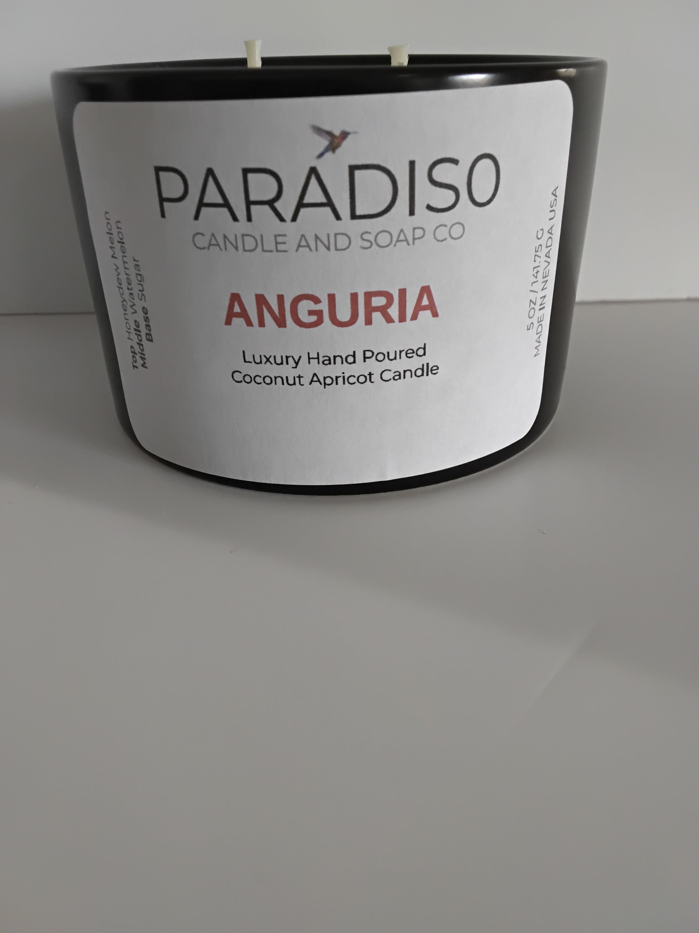 Anguria 12 oz Luxury 2-Wick Coconut Apricot Candle