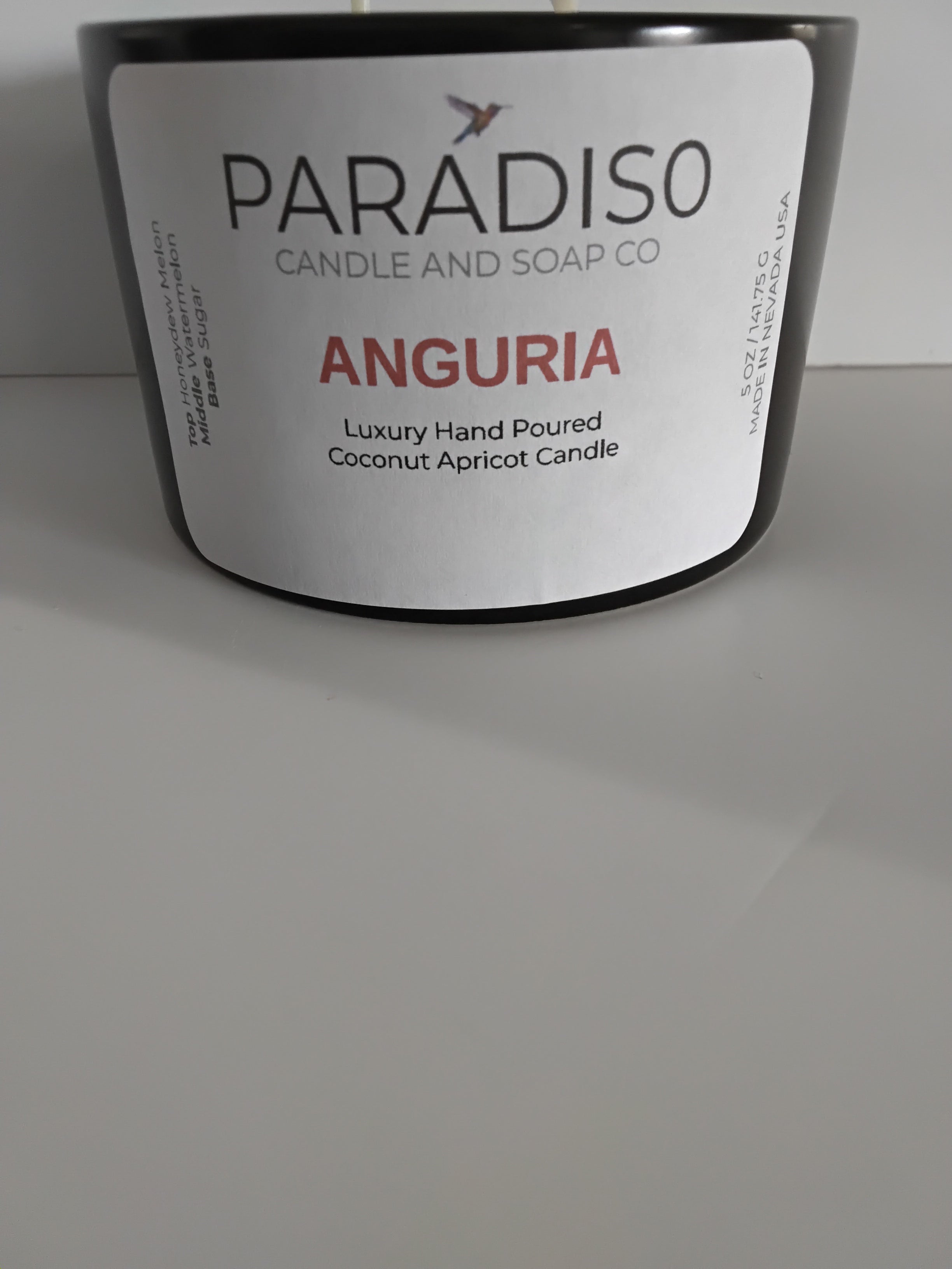 Anguria 12 oz Luxury 2-Wick Coconut Apricot Candle