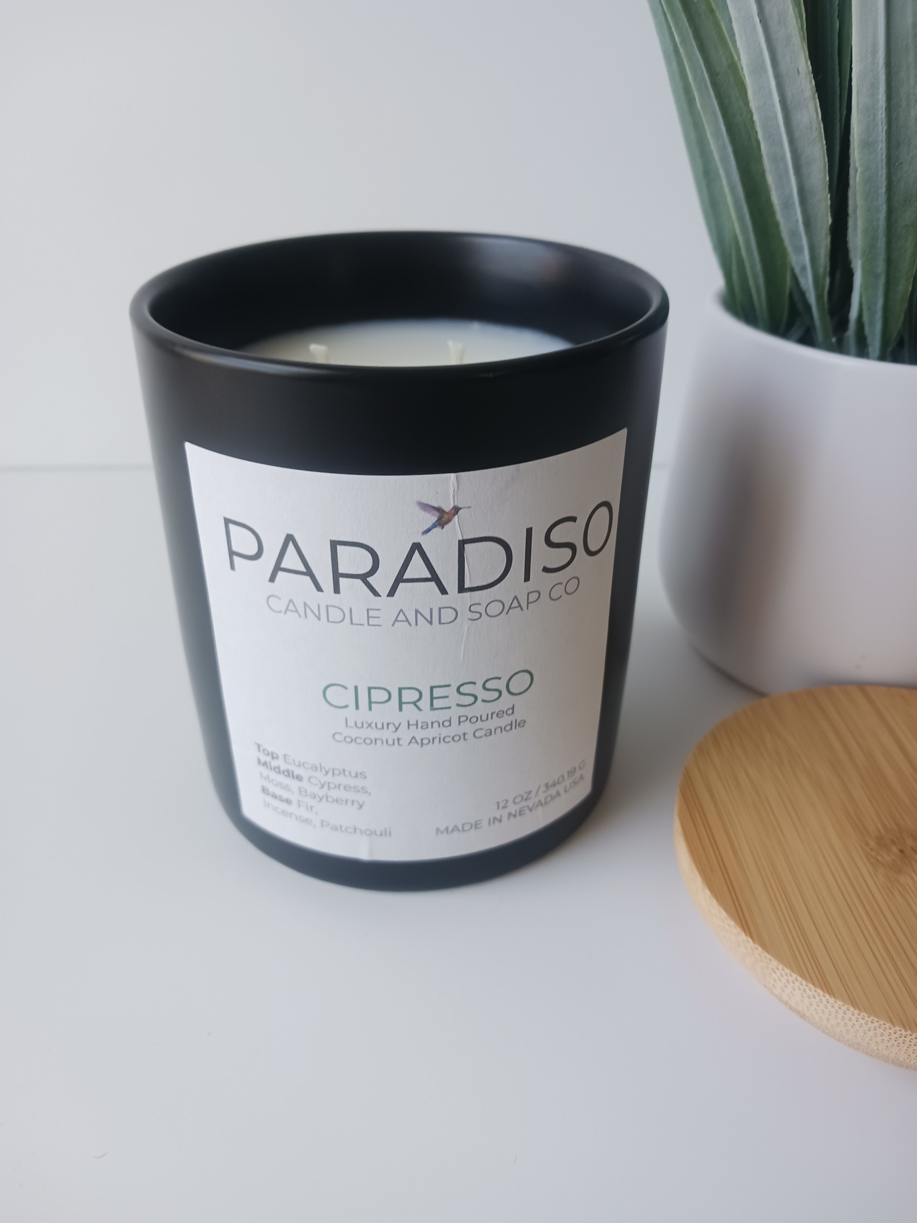 Cipresso 12 oz Luxury 2-Wick Coconut Apricot Candle