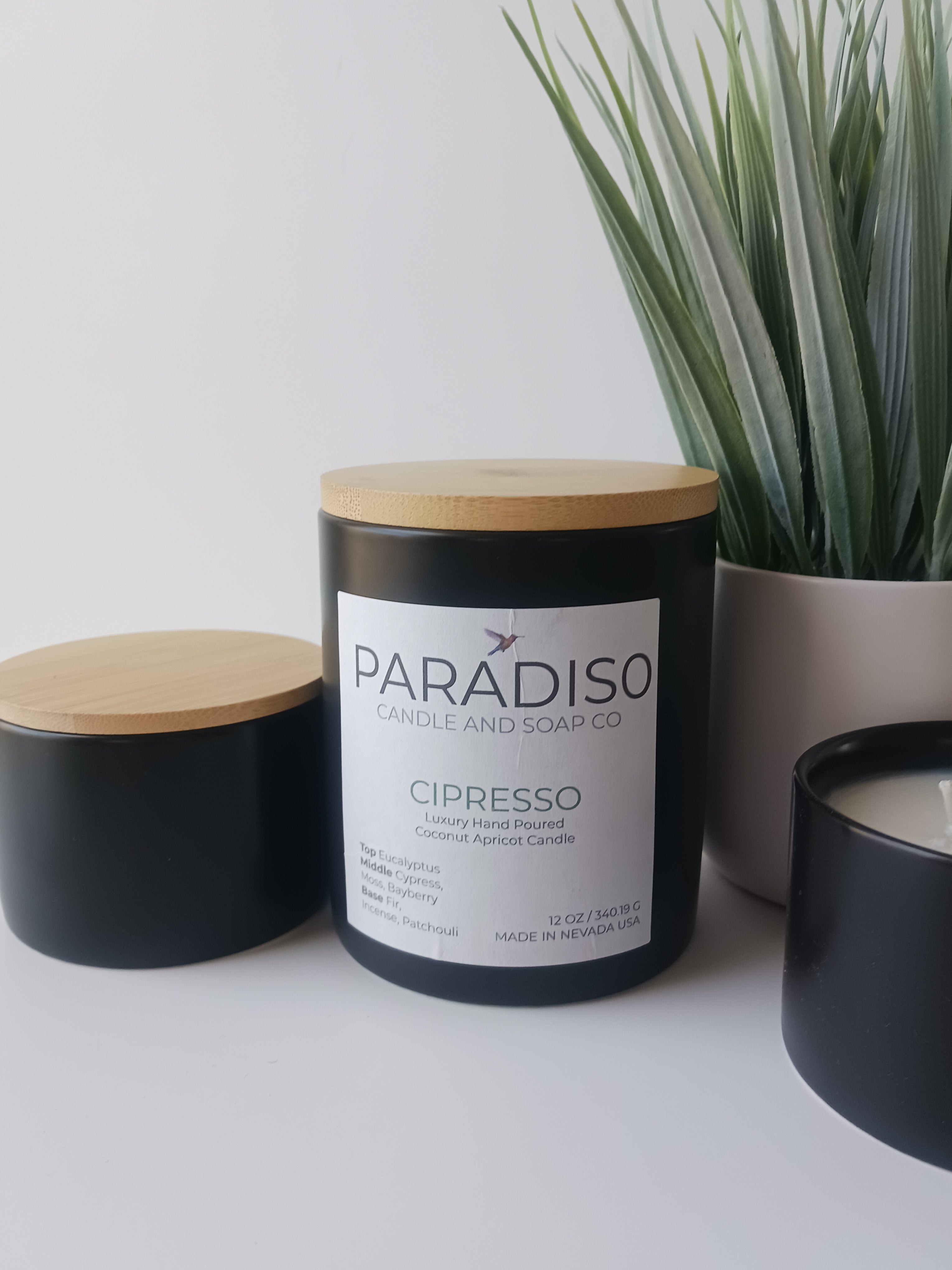 Cipresso 12 oz Luxury 2-Wick Coconut Apricot Candle