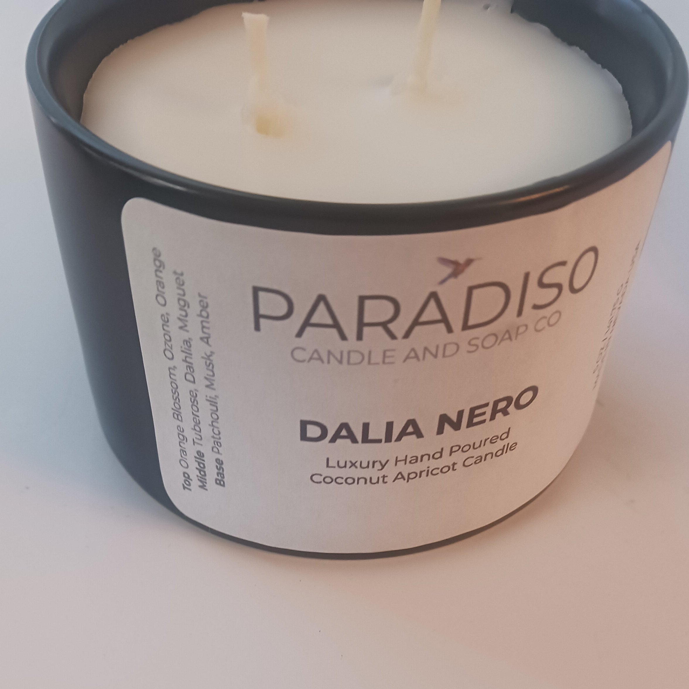 Dalia Nero Mini 5 oz Luxury 2-Wick Coconut Apricot Candle