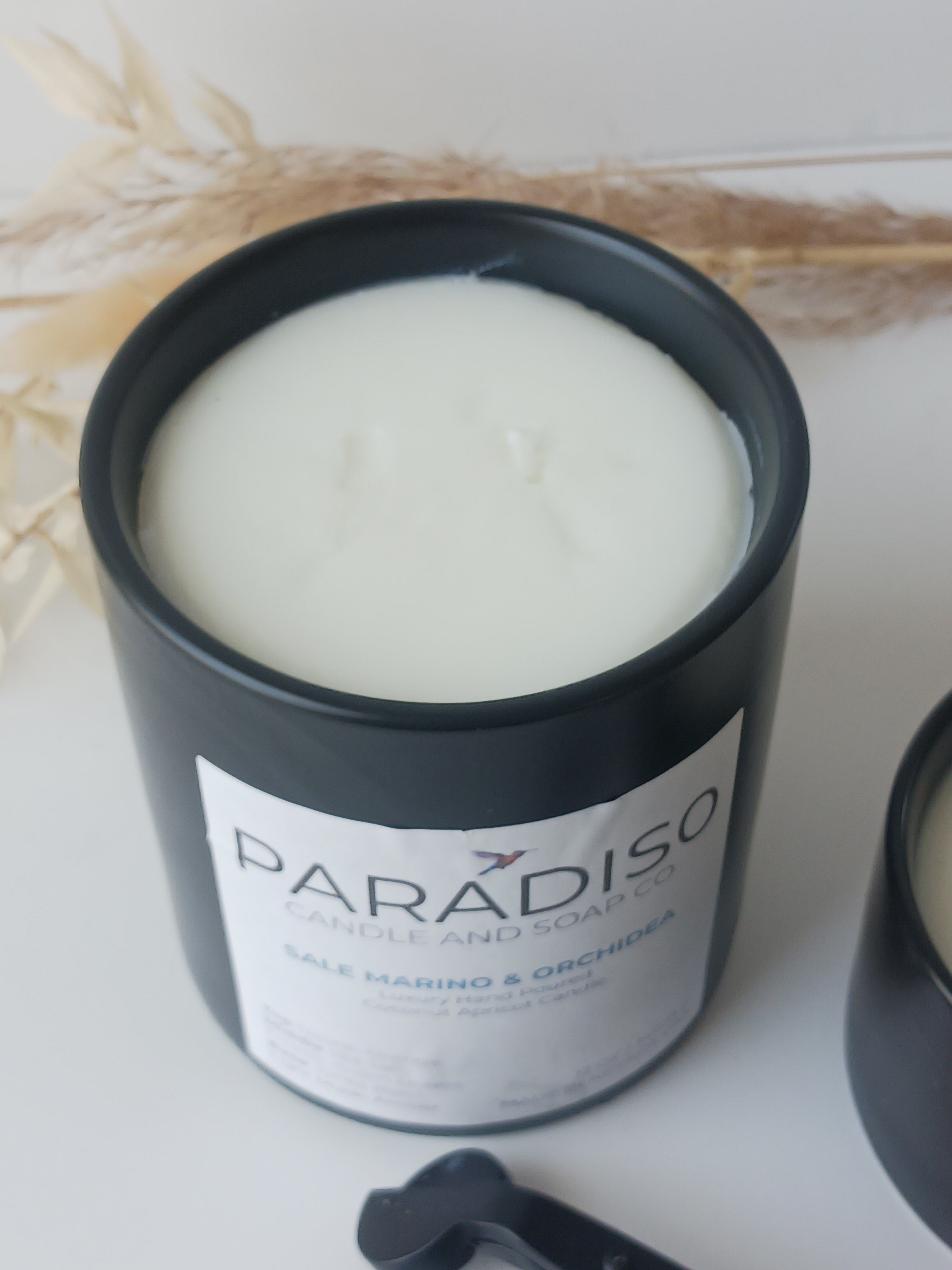 Sale Marino e Orchidea Mini 5 oz Luxury 2-Wick Coconut Apricot Candle