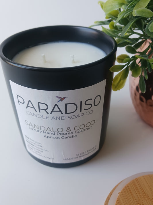 Paradiso candle with a plant in the background on a white surface