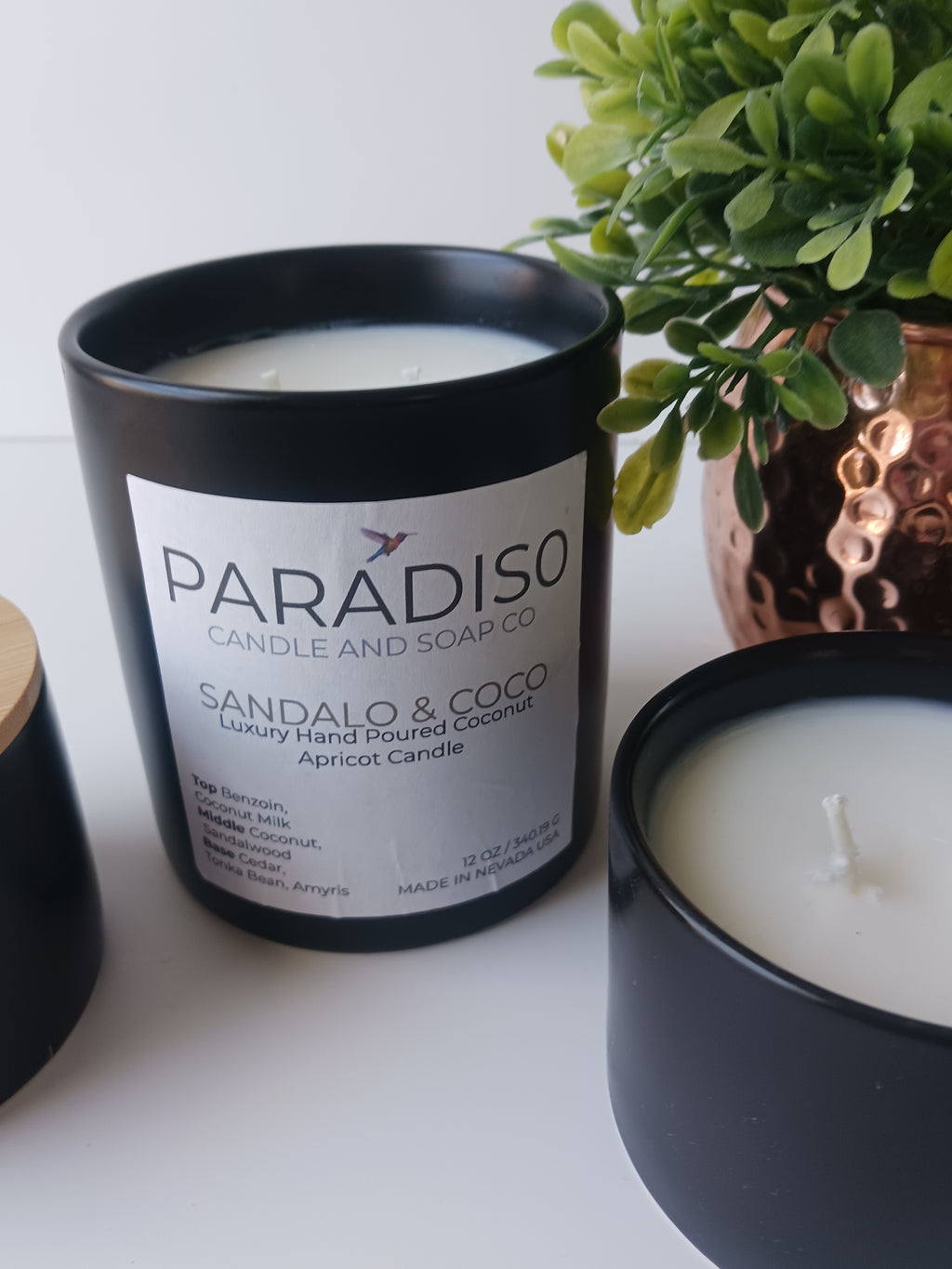 Paradiso candle with a plant on a white surface