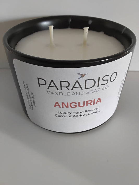 Anguria 12 oz Luxury 2-Wick Coconut Apricot Candle - Paradiso Candle And Soap Co