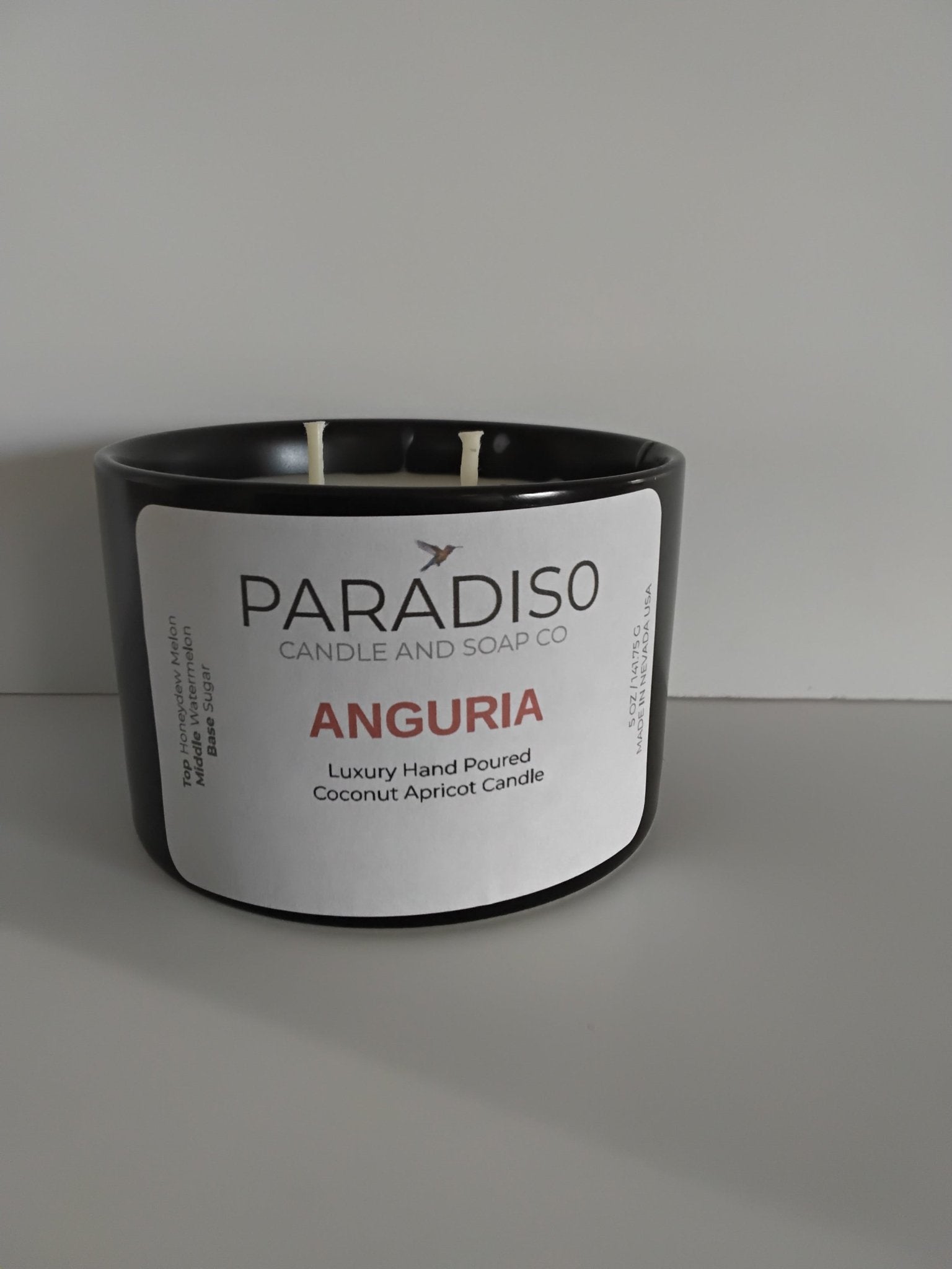 Anguria 12 oz Luxury 2-Wick Coconut Apricot Candle - Paradiso Candle And Soap Co