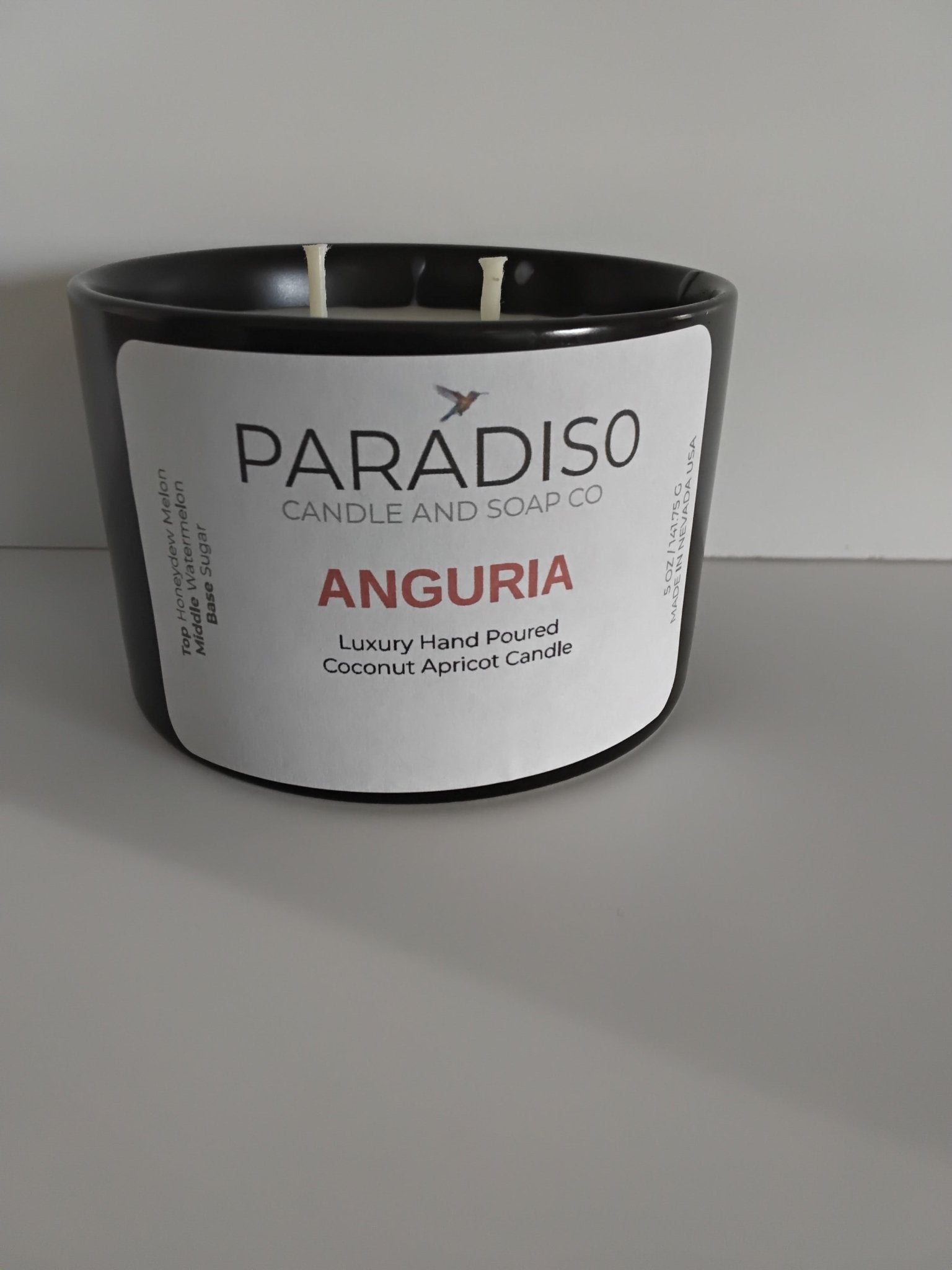 Anguria 12 oz Luxury 2-Wick Coconut Apricot Candle - Paradiso Candle And Soap Co