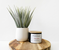Rosa Nera Mini 5 oz Luxury 2-Wick Coconut Apricot Candle