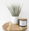 Orchidea Vaniglia Mini 5 oz Luxury 2-Wick Coconut Apricot Candle