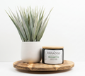 Mughetto 5 oz mini Luxury Coconut Apricot Candle