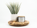 Tè Verde 5 oz mini Luxury Coconut Apricot Candle